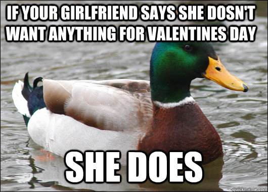 If your girlfriend says she dosn't want anything for valentines day She does - If your girlfriend says she dosn't want anything for valentines day She does  Actual Advice Mallard