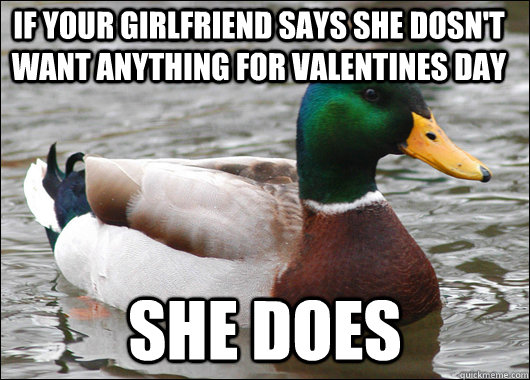 If your girlfriend says she dosn't want anything for valentines day She does  Actual Advice Mallard