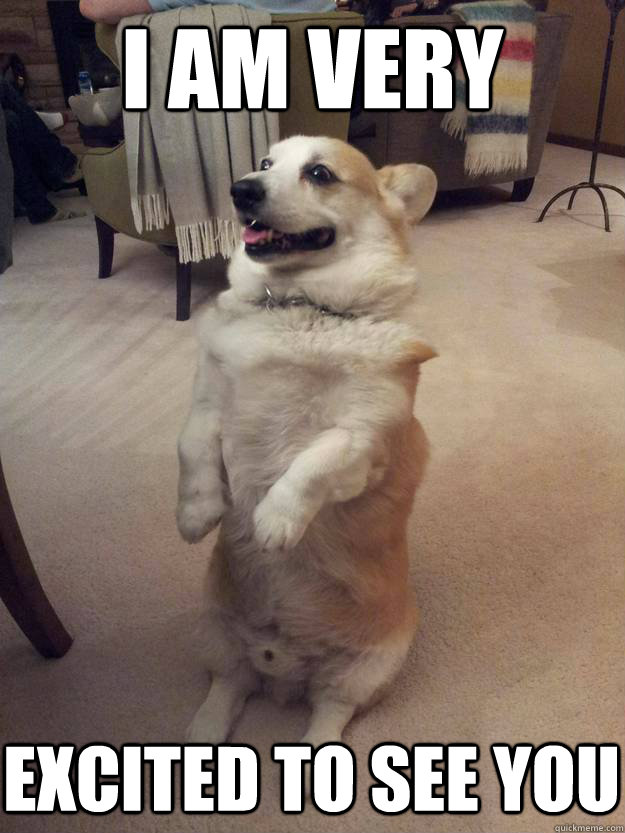 I am very excited to see you - I am very excited to see you  Excited dog is excited