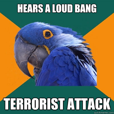 hears a loud bang terrorist attack  Paranoid Parrot
