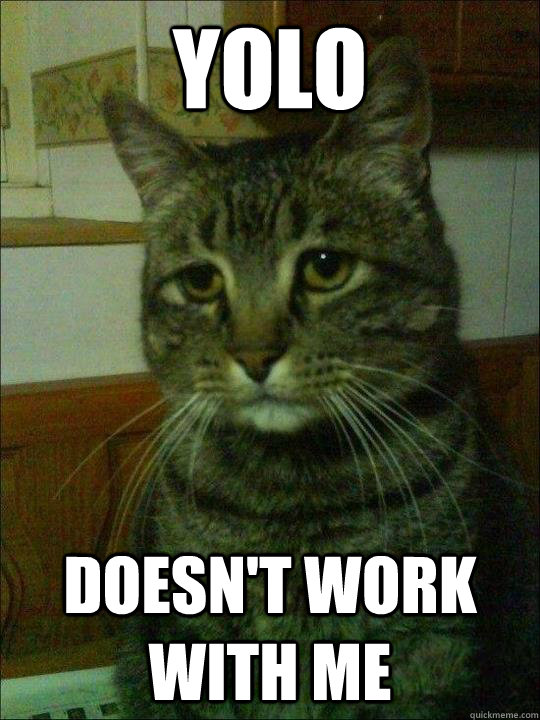 Yolo Doesn't work with me - Yolo Doesn't work with me  Depressed cat