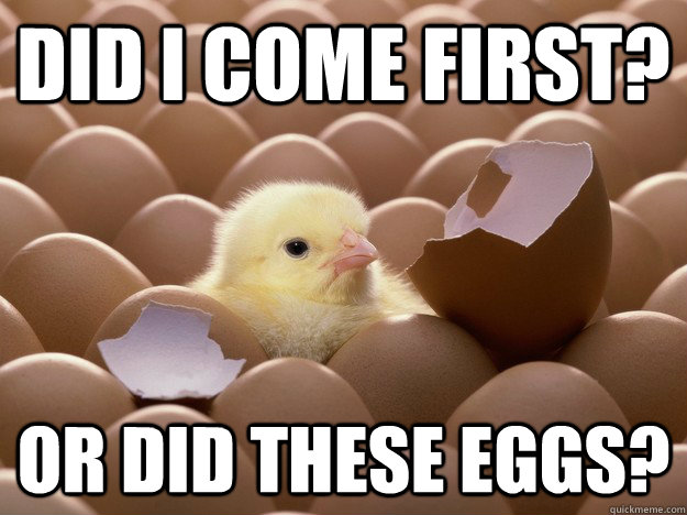 Did I come first? or did these eggs?  early bird