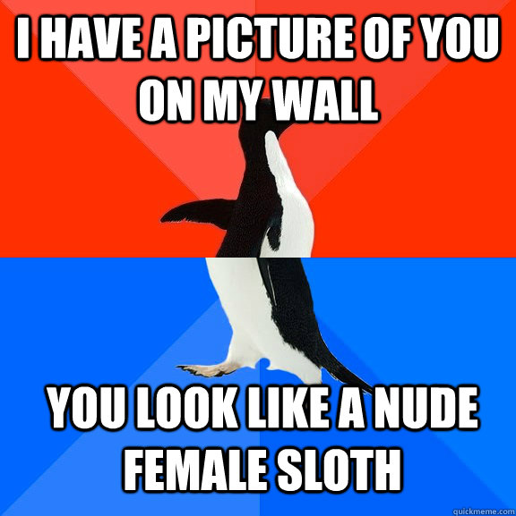 I have a picture of you on my wall you look like a nude female sloth  Socially Awesome Awkward Penguin