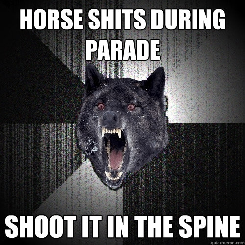horse shits during parade shoot it in the spine  Insanity Wolf