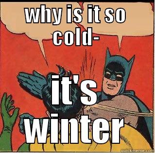 WHY IS IT SO COLD- IT'S WINTER Slappin Batman