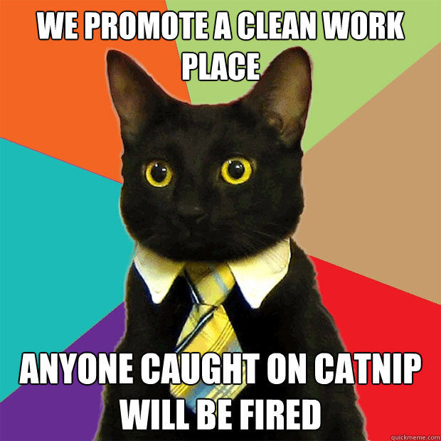 We promote a clean work place anyone caught on catnip will be fired - We promote a clean work place anyone caught on catnip will be fired  Business Cat
