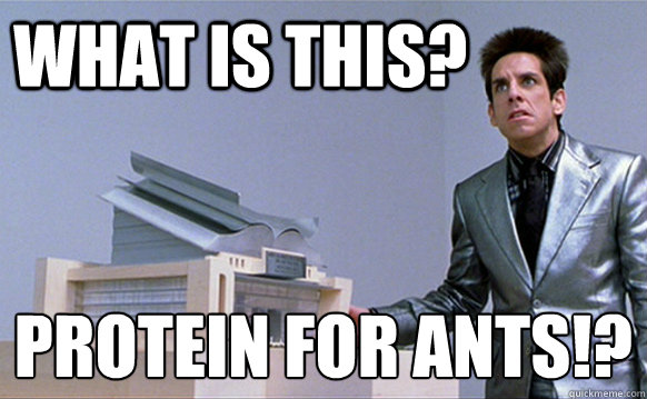 WHAT is this? protein for ants!?  School for ants