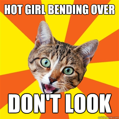 hot girl bending over don't look  Bad Advice Cat