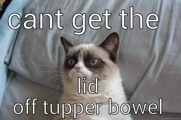 CANT GET THE  LID OFF TUPPER BOWEL Grumpy Cat