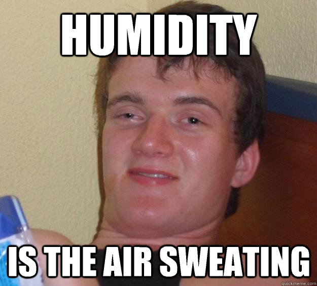 HUMIDITY IS THE AIR SWeaTING  - HUMIDITY IS THE AIR SWeaTING   10 Guy