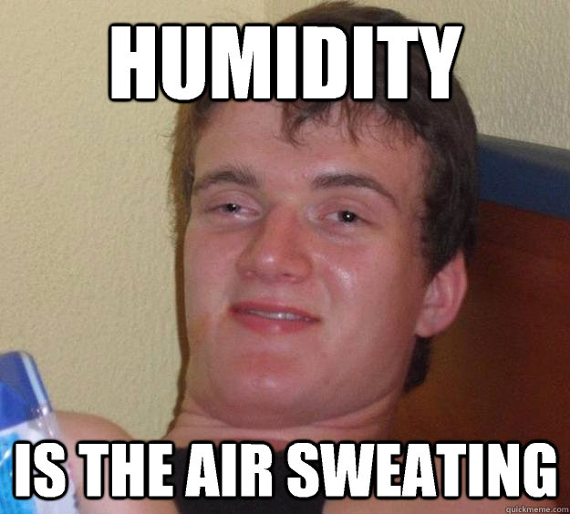 HUMIDITY IS THE AIR SWeaTING   10 Guy