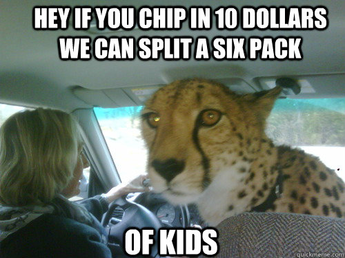 Hey if you chip in 10 dollars we can split a six pack of kids - Hey if you chip in 10 dollars we can split a six pack of kids  Chill Cheetah