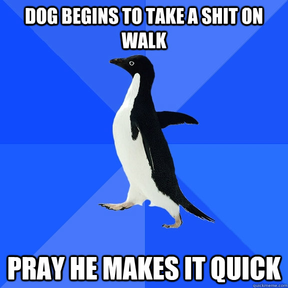 dog begins to take a shit on walk pray he makes it quick  Socially Awkward Penguin
