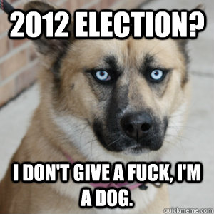 2012 election? I don't give a fuck, I'm a dog.  