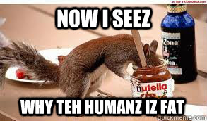 NOW I SEEZ why teh humanz iz fat  Nutella Squirrel