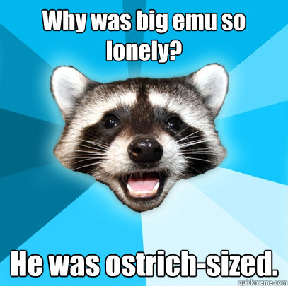 Why was big emu so lonely? He was ostrich-sized.  Lame Pun Coon