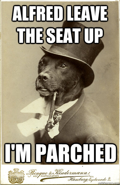 alfred leave the seat up i'm parched - alfred leave the seat up i'm parched  Old Money Dog