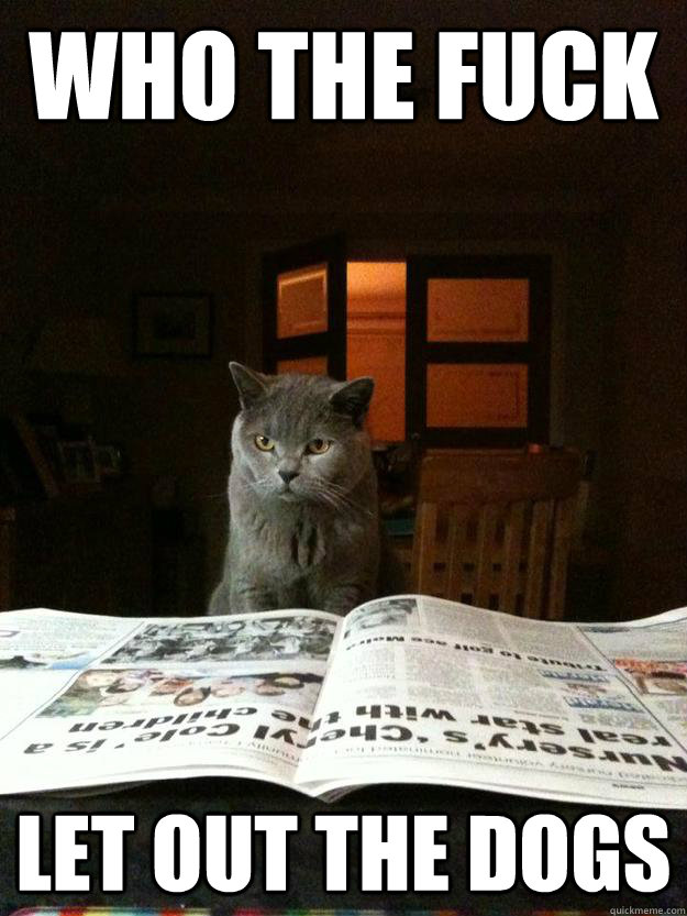 Who the fuck Let out the dogs  