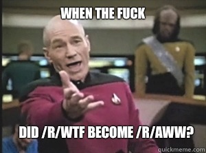 when the fuck did /r/wtf become /r/aww?  Annoyed Picard