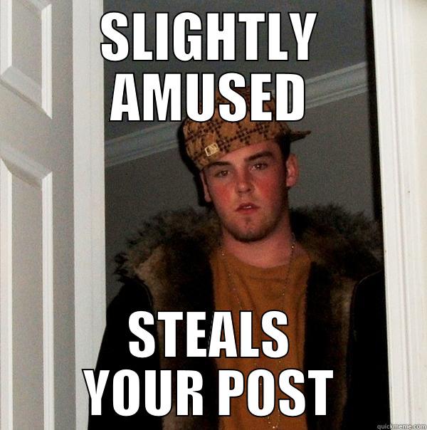 SLIGHTLY AMUSED STEALS YOUR POST Scumbag Steve