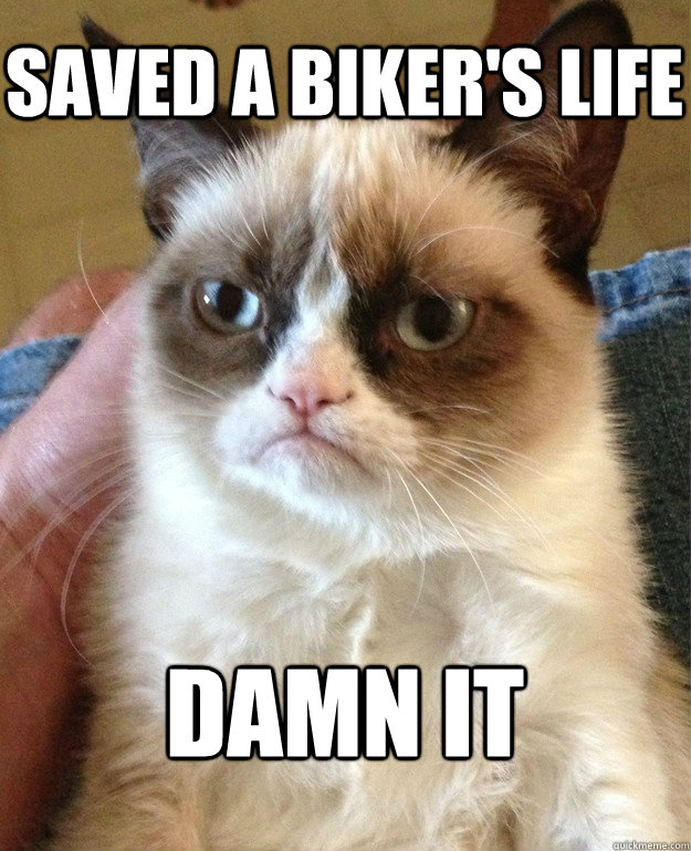 saved a biker's life damn it - saved a biker's life damn it  Grumpy Cat