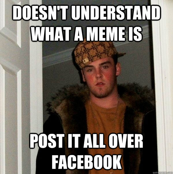 doesn't understand what a meme is post it all over facebook - doesn't understand what a meme is post it all over facebook  Scumbag Steve