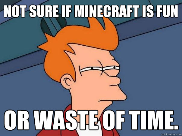 Not sure if minecraft is fun Or waste of time.  Futurama Fry