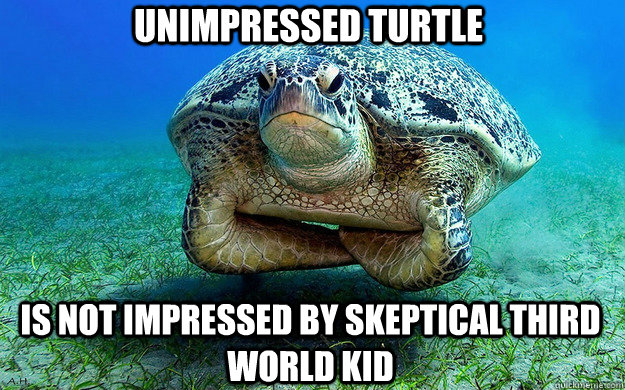 Unimpressed Turtle  Is not impressed by skeptical third world kid   