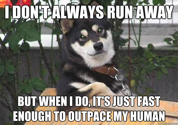 I don't always run away But when I do, it's just fast enough to outpace my human - I don't always run away But when I do, it's just fast enough to outpace my human  Misc