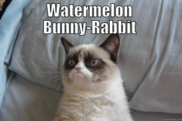 WATERMELON BUNNY-RABBIT  Grumpy Cat