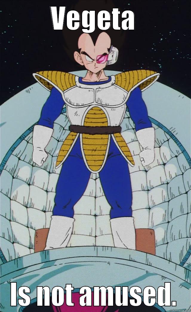 VEGETA IS NOT AMUSED. Misc