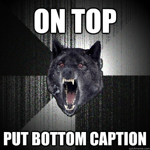 on top put bottom caption  Insanity Wolf