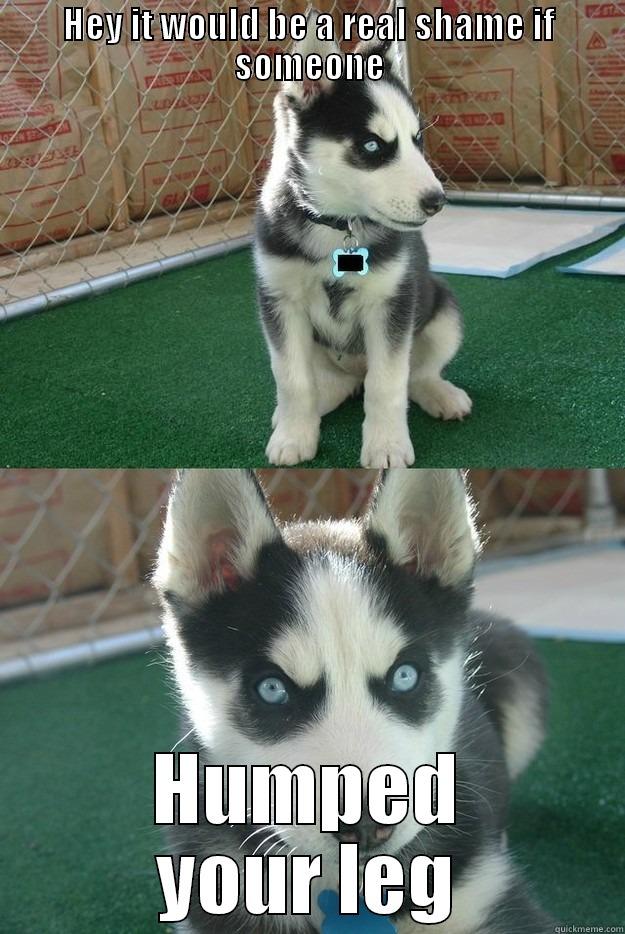 HEY IT WOULD BE A REAL SHAME IF SOMEONE HUMPED YOUR LEG Insanity puppy