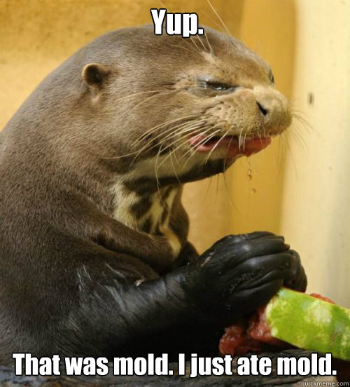 That was mold. I just ate mold. Yup. - That was mold. I just ate mold. Yup.  Disgusted Otter