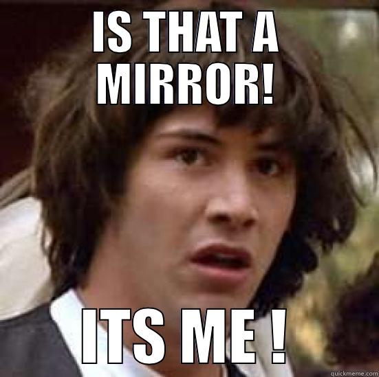 IS THAT A MIRROR! ITS ME ! conspiracy keanu