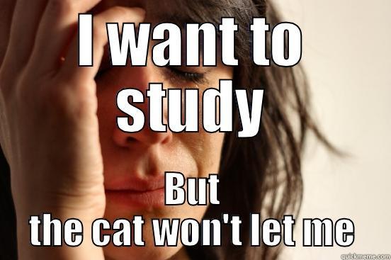 I WANT TO STUDY BUT THE CAT WON'T LET ME First World Problems