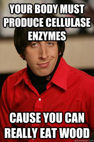 Your body must produce cellulase enzymes Cause you can really eat wood  Howard Wolowitz