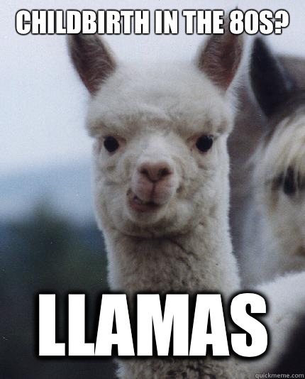 Childbirth in The 80s? Llamas - Childbirth in The 80s? Llamas  Alexandra the Alpaca