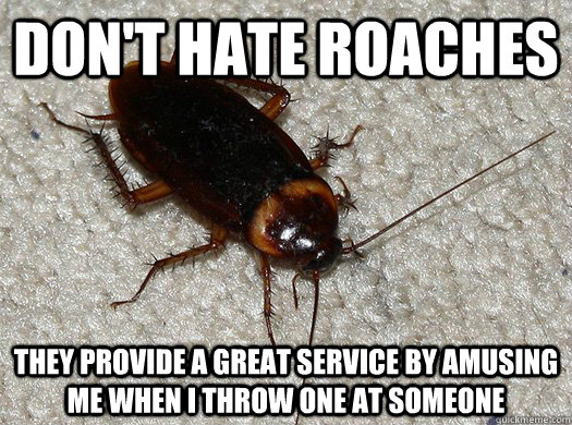 don't hate roaches  they provide a great service by amusing me when i throw one at someone - don't hate roaches  they provide a great service by amusing me when i throw one at someone  Scumbag Cockroach