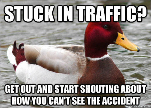 Stuck In Traffic? Get out and start shouting about how you can't see the accident  Malicious Advice Mallard