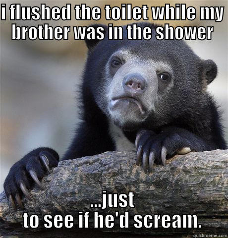 I FLUSHED THE TOILET WHILE MY BROTHER WAS IN THE SHOWER ...JUST TO SEE IF HE'D SCREAM. Confession Bear