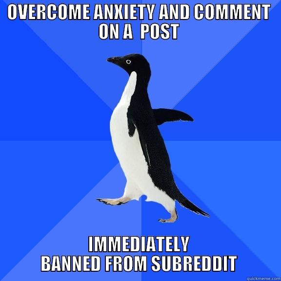 OVERCOME ANXIETY AND COMMENT ON A  POST IMMEDIATELY BANNED FROM SUBREDDIT Socially Awkward Penguin