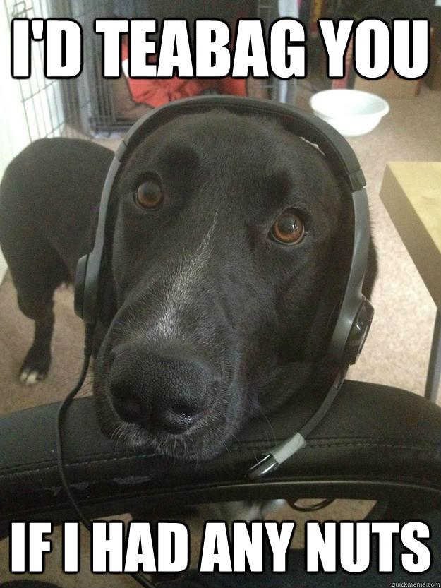 I'd teabag you If I had any nuts - I'd teabag you If I had any nuts  Gamer Dog