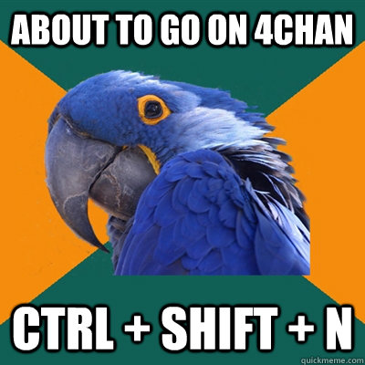 About to go on 4chan ctrl + shift + N  Paranoid Parrot