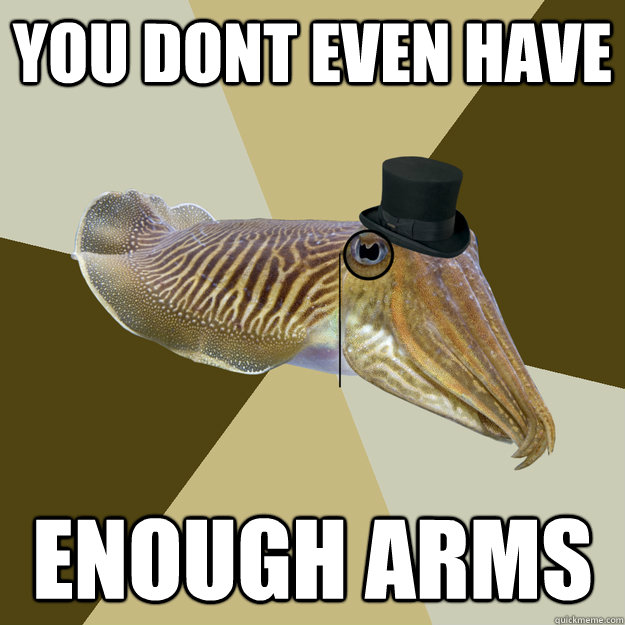 You dont even have enough arms  Posh Cuttlefish
