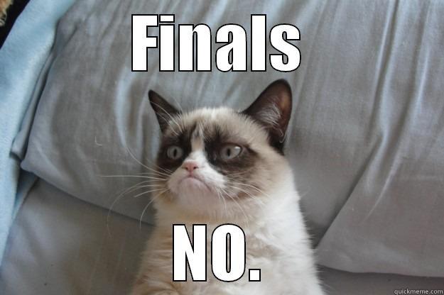 FINALS NO. Grumpy Cat