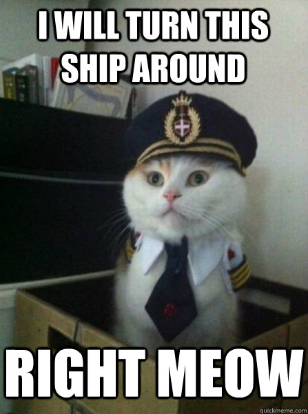 i will turn this ship around right meow - i will turn this ship around right meow  Captain kitteh