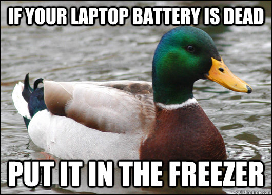 If your laptop battery is dead put it in the freezer  Actual Advice Mallard