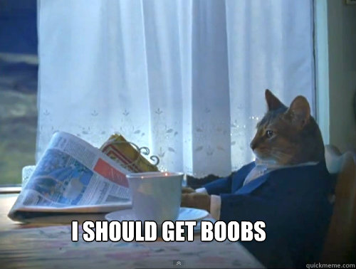  i should get boobs  The One Percent Cat