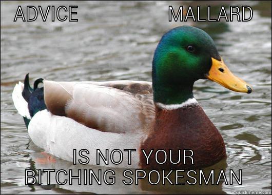 ADVICE                   MALLARD IS NOT YOUR BITCHING SPOKESMAN Actual Advice Mallard